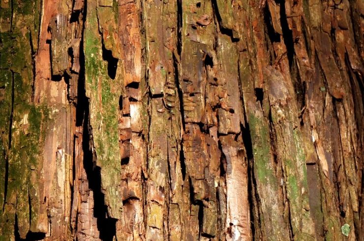 加工（板割り）